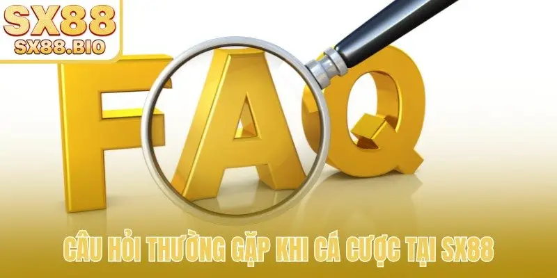 Câu hỏi thường gặp khi cá cược tại SX88